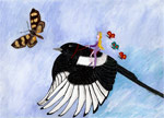 Follow Butterfly